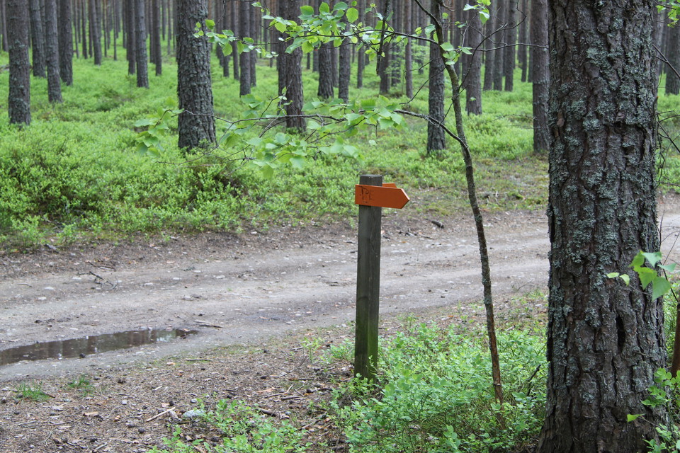 Stolpe med två orange pilar.