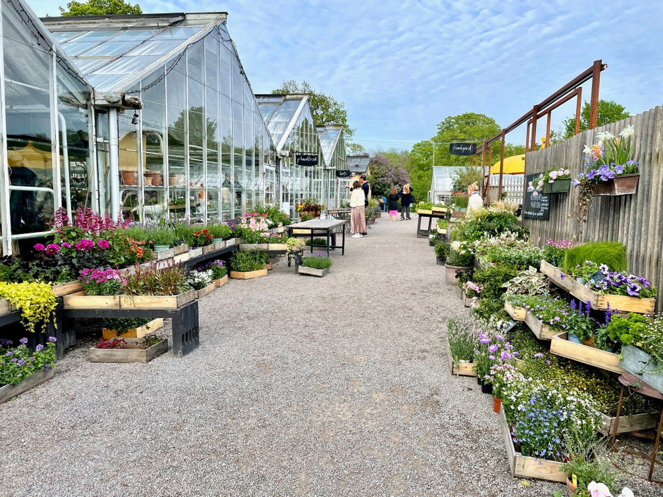 Rosendals trädgård.