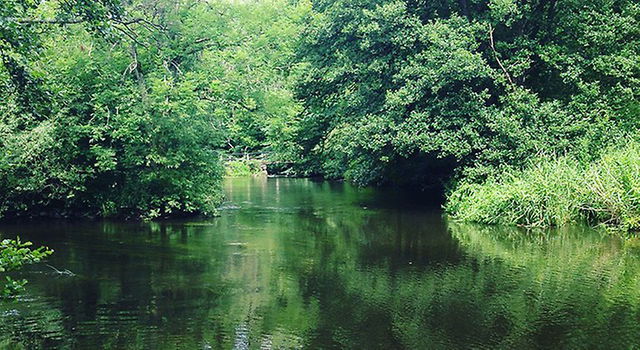 Billingemölla, Naturreservat