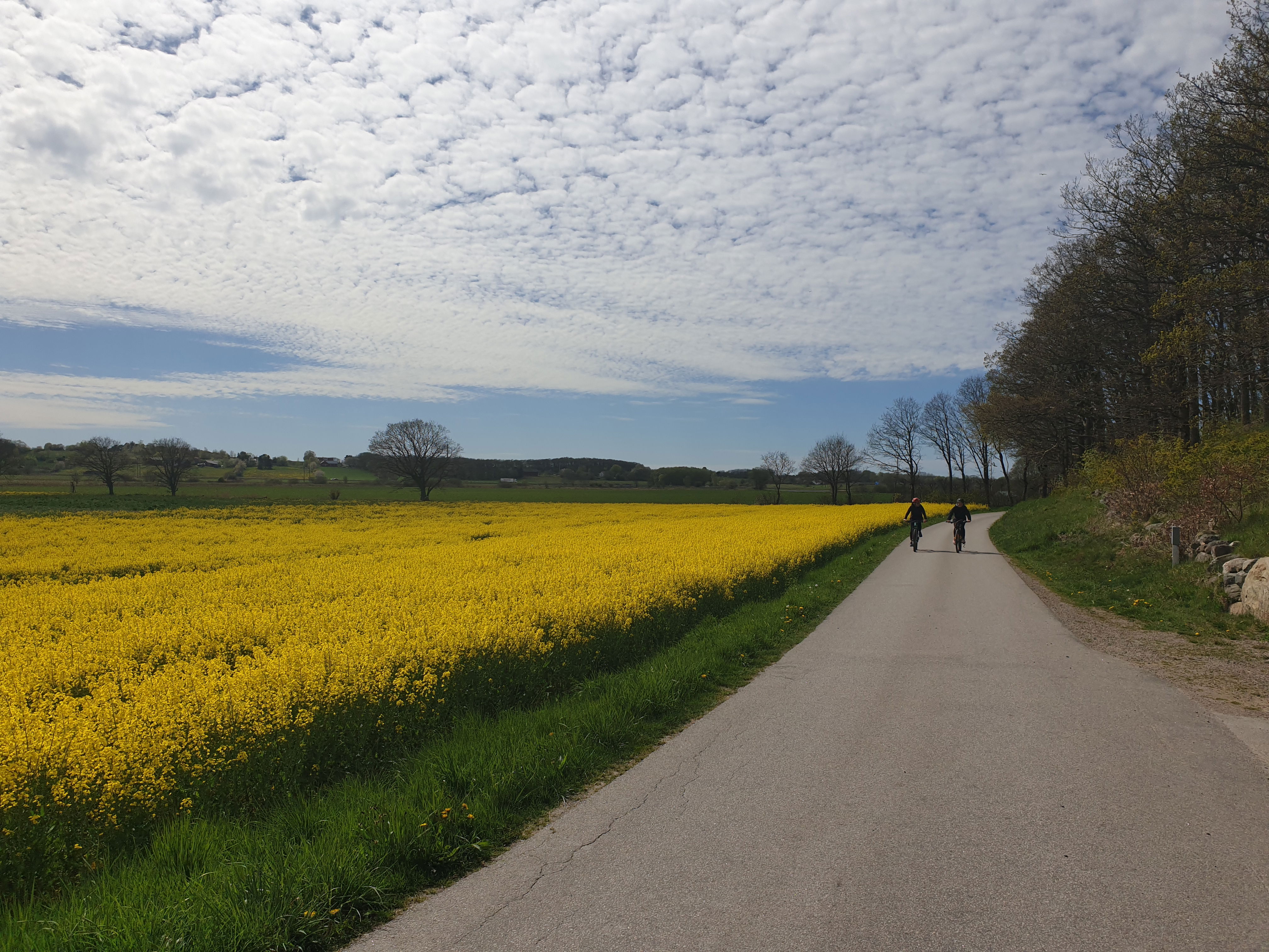 Åkullaleden