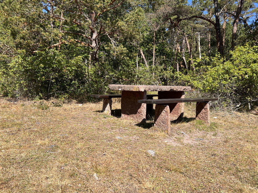 rastbord i skogsbrynet