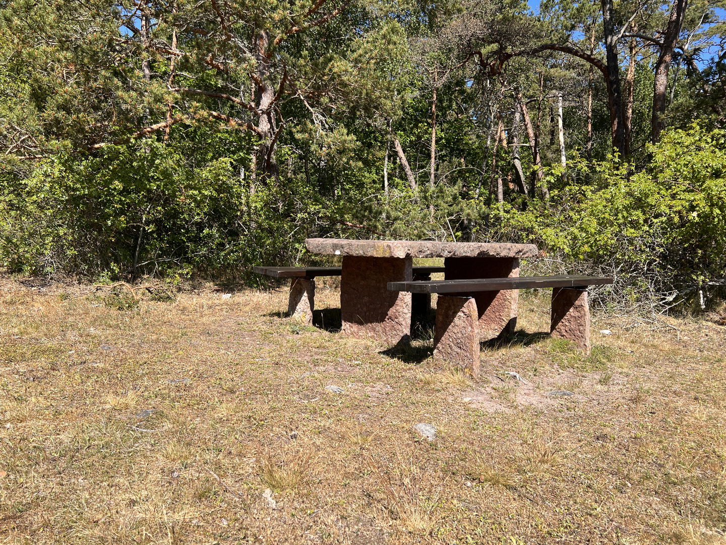 rastbord i skogsbrynet