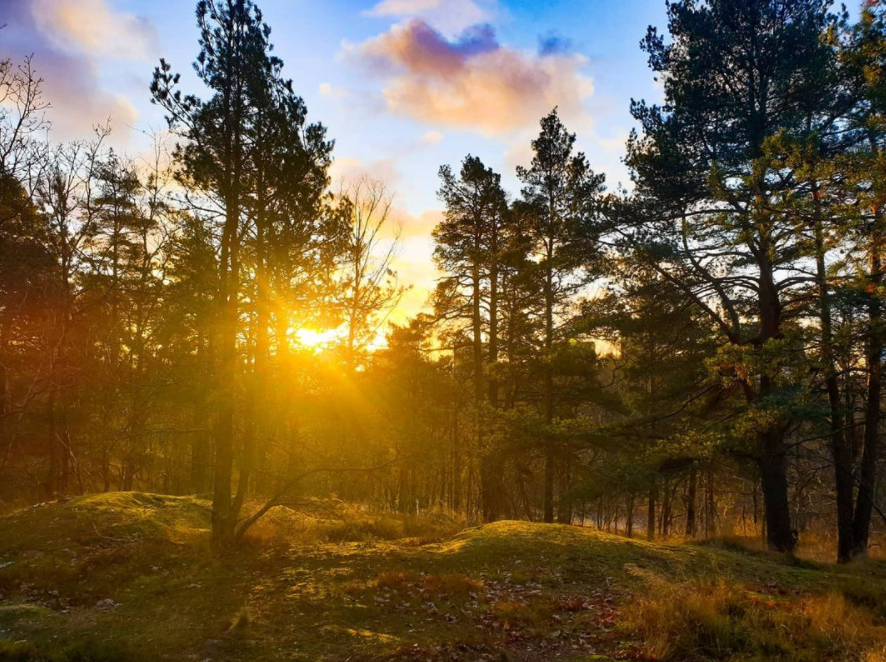 Henriksdalsringen bakom Trolldalen