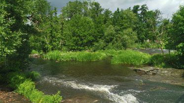 Forshalls Naturpark