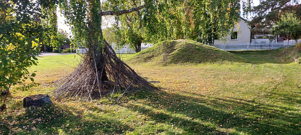 Grönytor vid lekplatsen Nordgatan