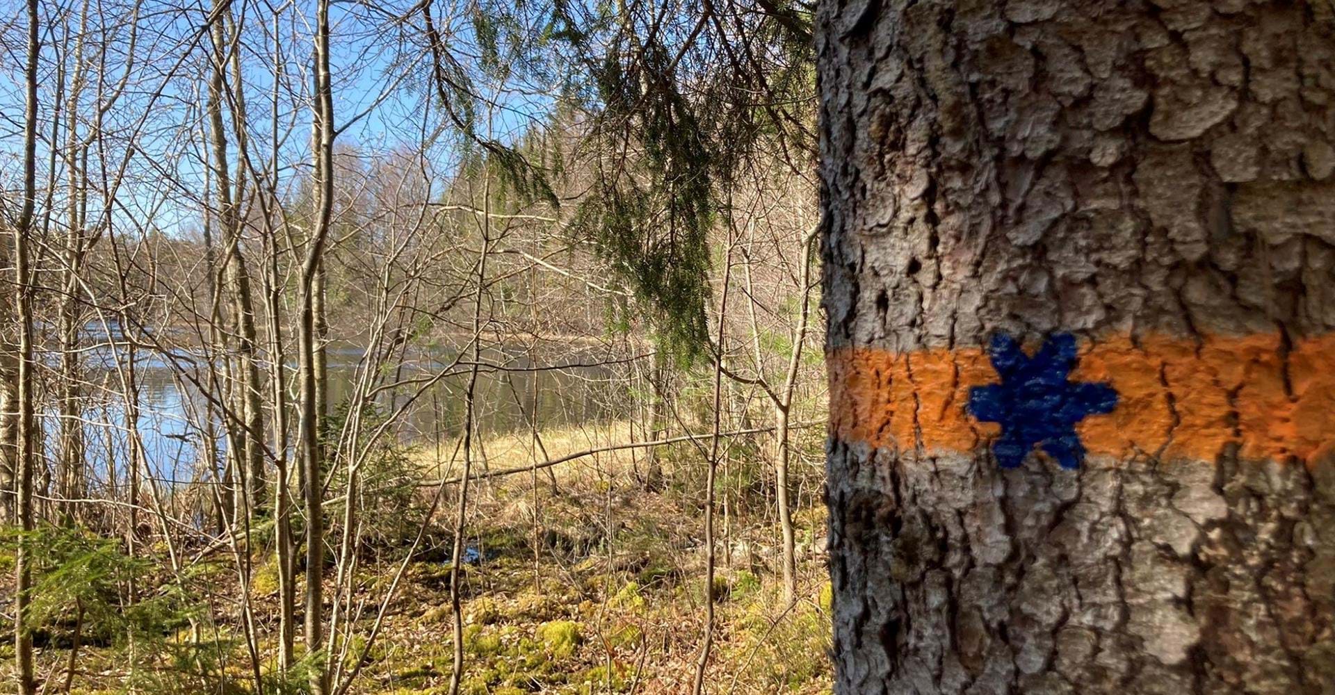 Vindskydd Långgölen Etapp: Falerum-Rumma