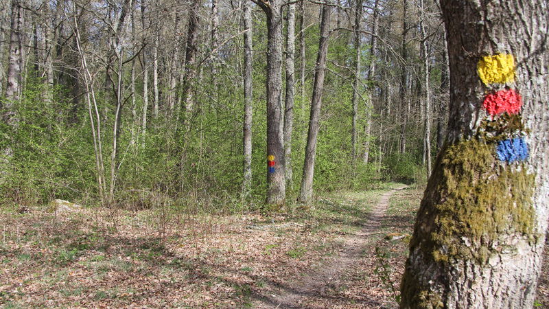 Vandringsled, Djurgårdsskogen