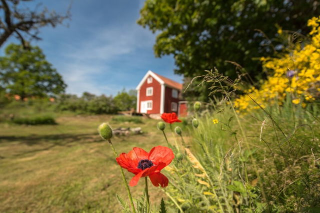 Sweeds Stuguthyrning