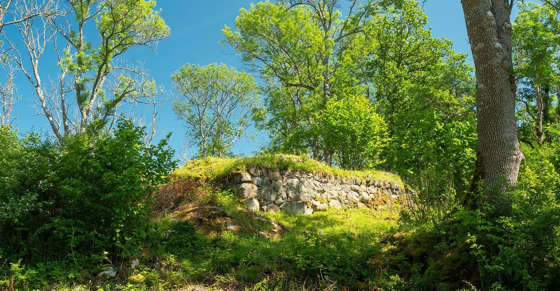 Fågelviks borgruin