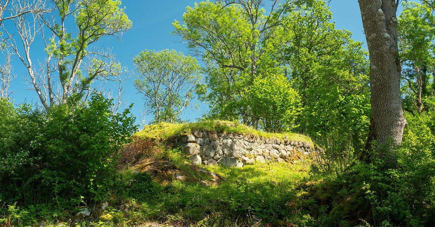 Fågelvik borgruin
Valdemarsvik-Åsvik
Valdemarsvik