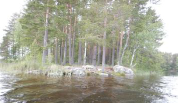 Storön, Hyn