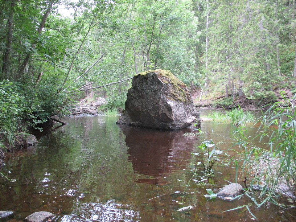Stor sten mitt i Hedströmmen.