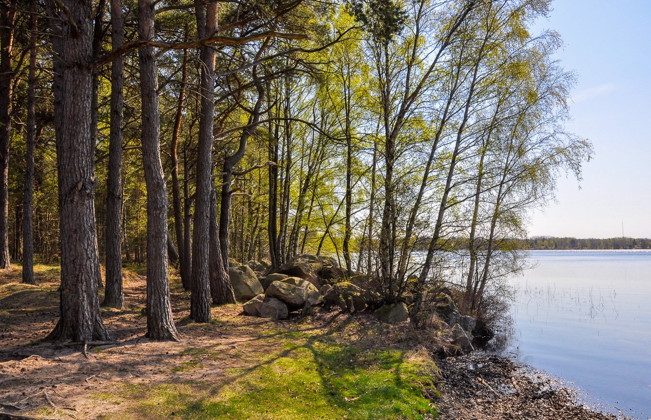 Färskesjön naturreservat