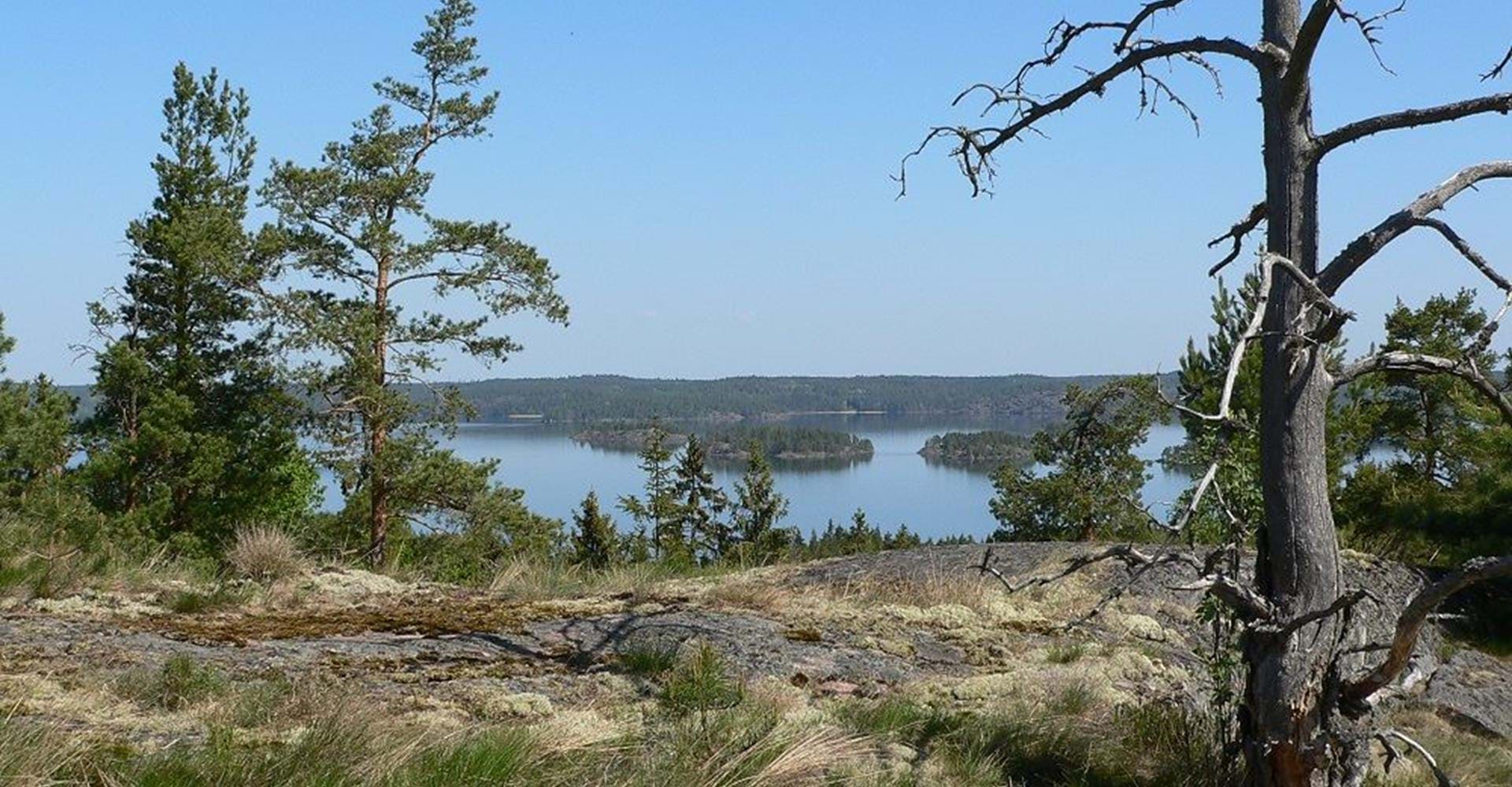 Djupadalsberget utsikt över Yxningen