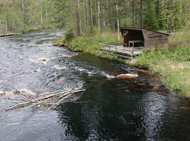 Byströmmen nedre Åmot