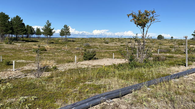 Tältplats Nordudden