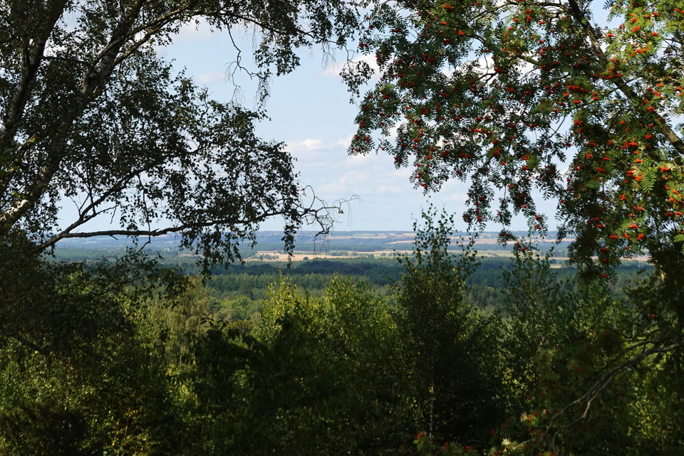 utsikt mot åkerlandskap och skog från en höjd