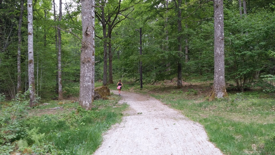 Aktivitet med naturvärden