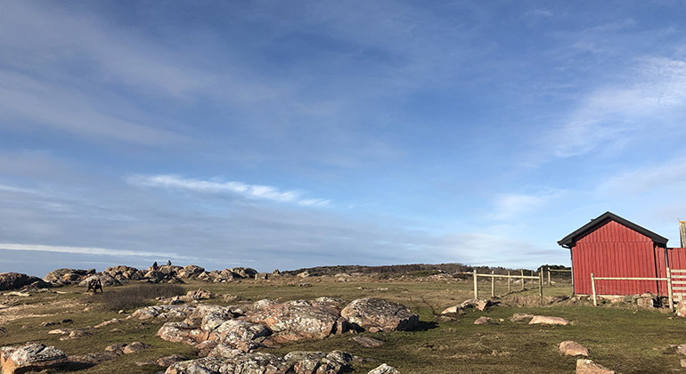 röd stuga vid havskanten