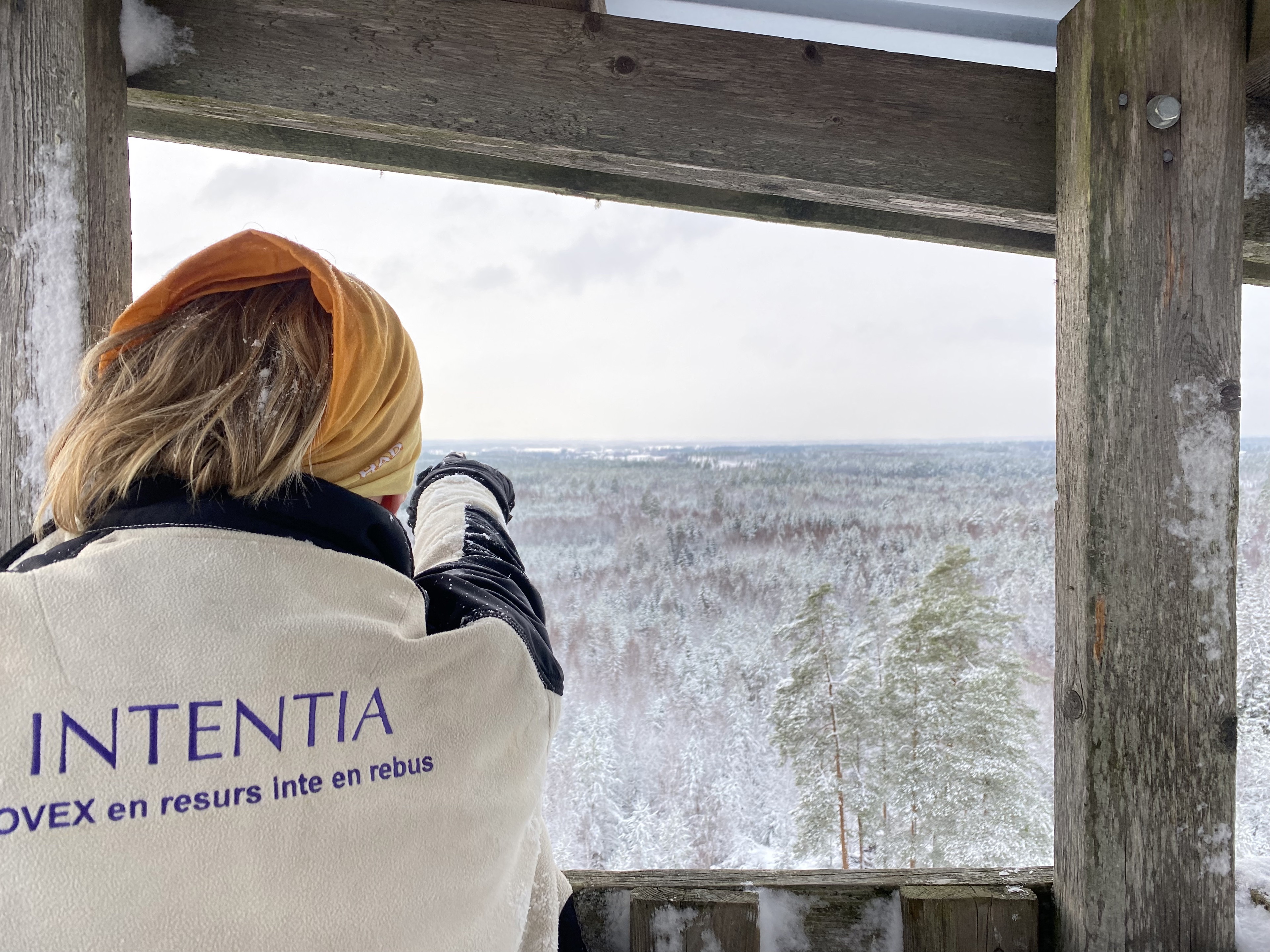 Utsikten från Mattsons torn
