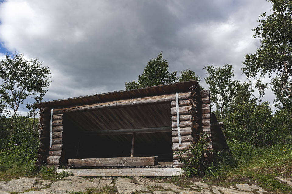 Öppet vindskydd i glänta med låg björkskog.