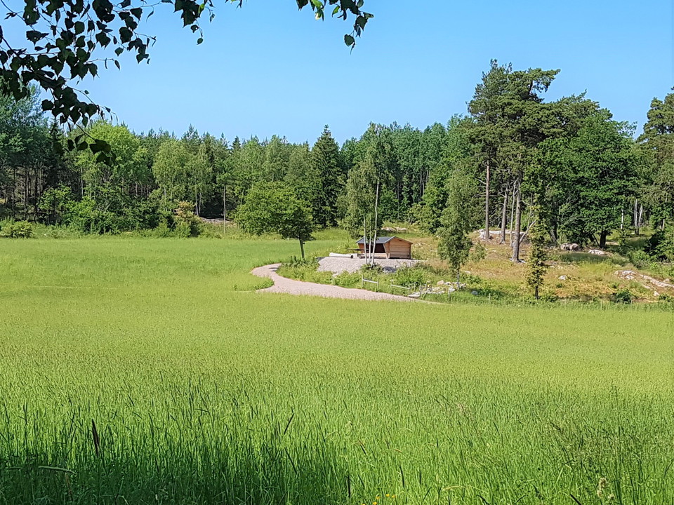 Utsikt över ängen från grillplatsen.