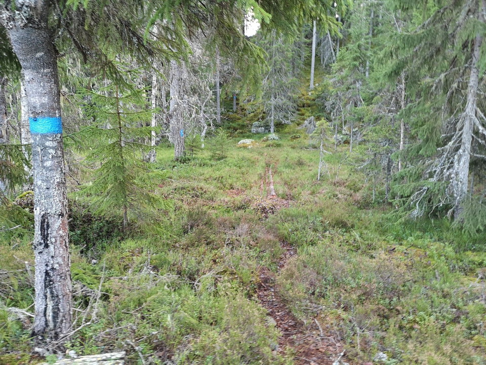 Närmare toppen blir stigen brant!
