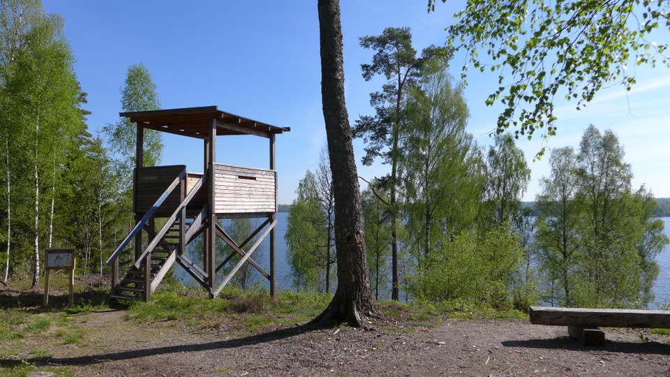 Utsiktstorn