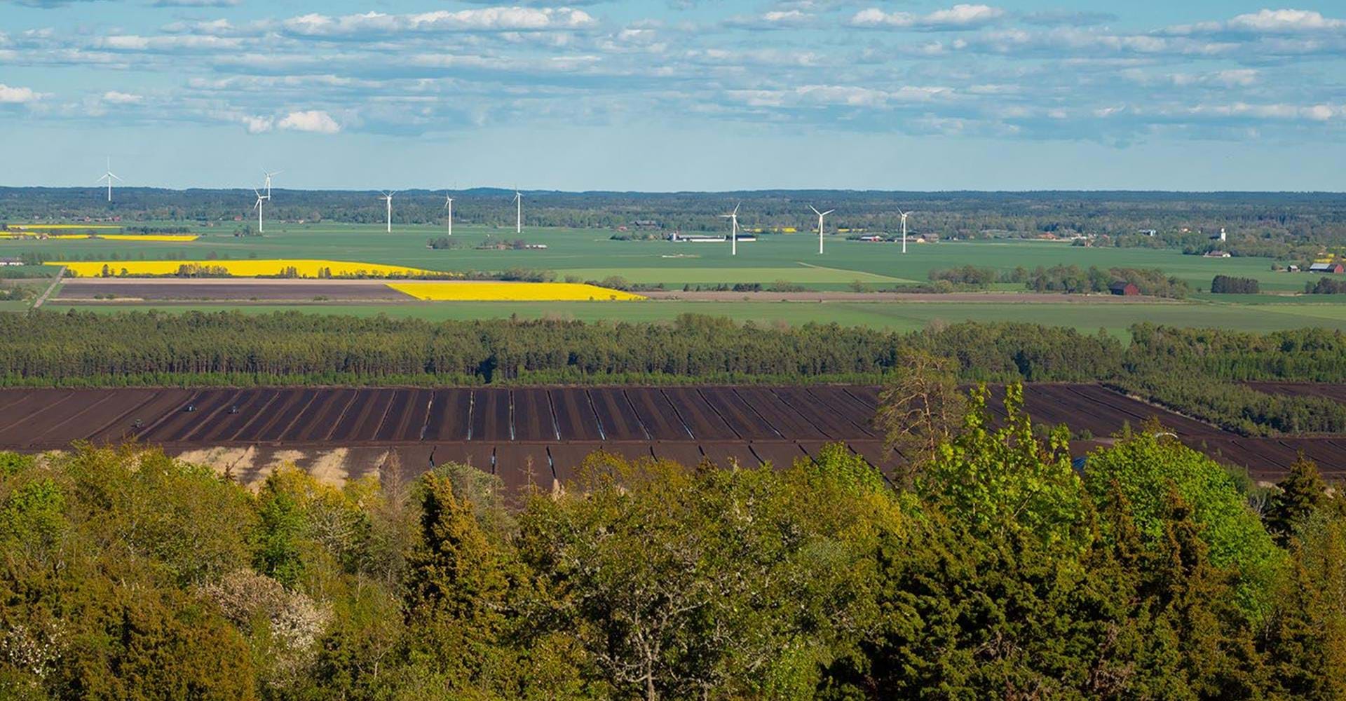 Utsikt från Renstafällan över Tåkern och Östgötaslätten.
