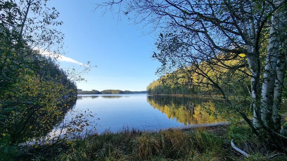 Sjö med skogsklädda stränder.