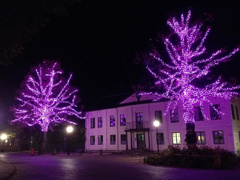 Rådhuset under Rosa Bandet veckan