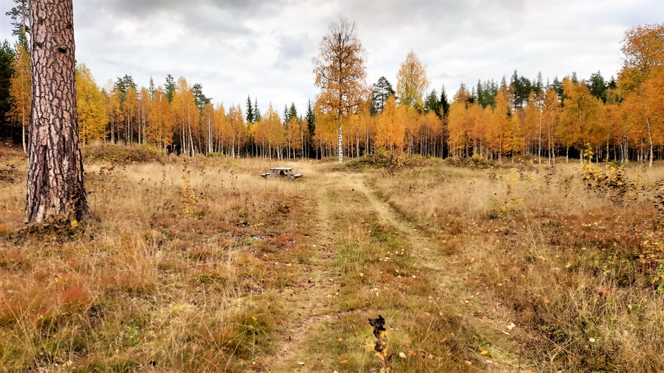 Sophiendals glasbruk