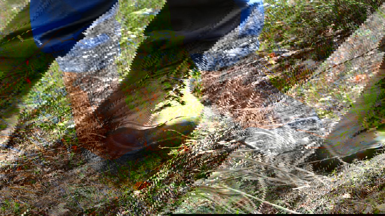 Ett par vandringskängor på en person som står i gräset.