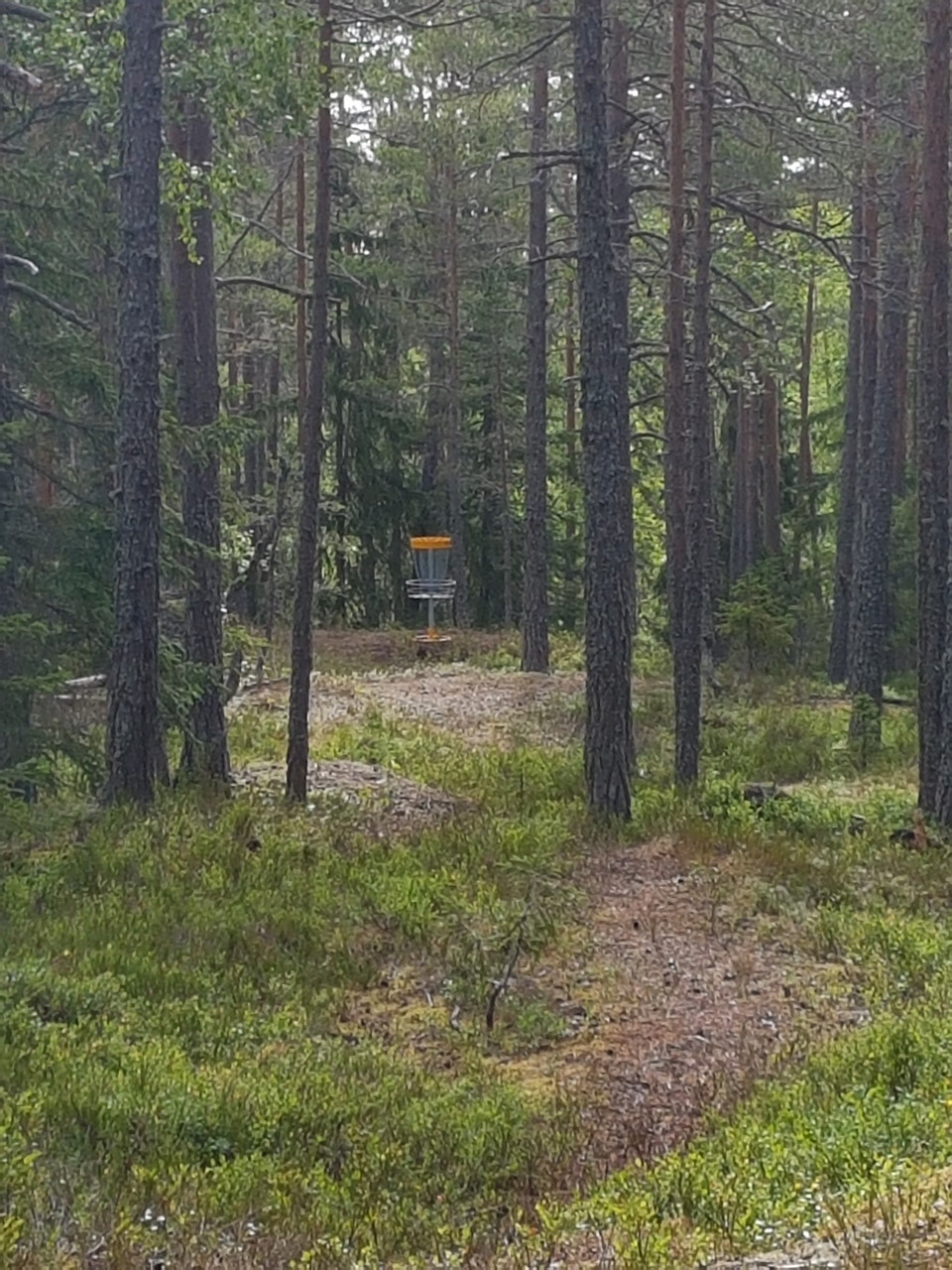 Discgolfbana