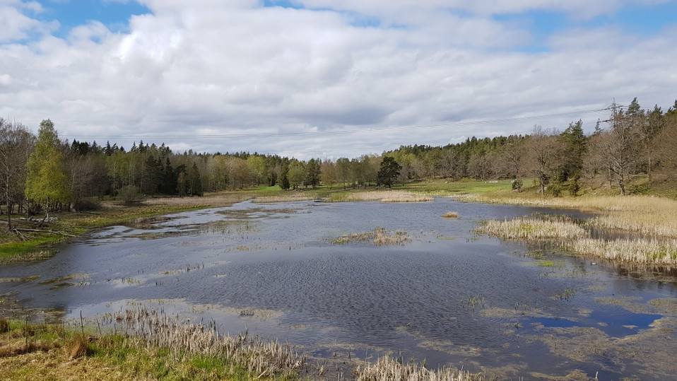 Utsikt över Västra Långängskärret från fågeltorn. Foto Lidingö stad