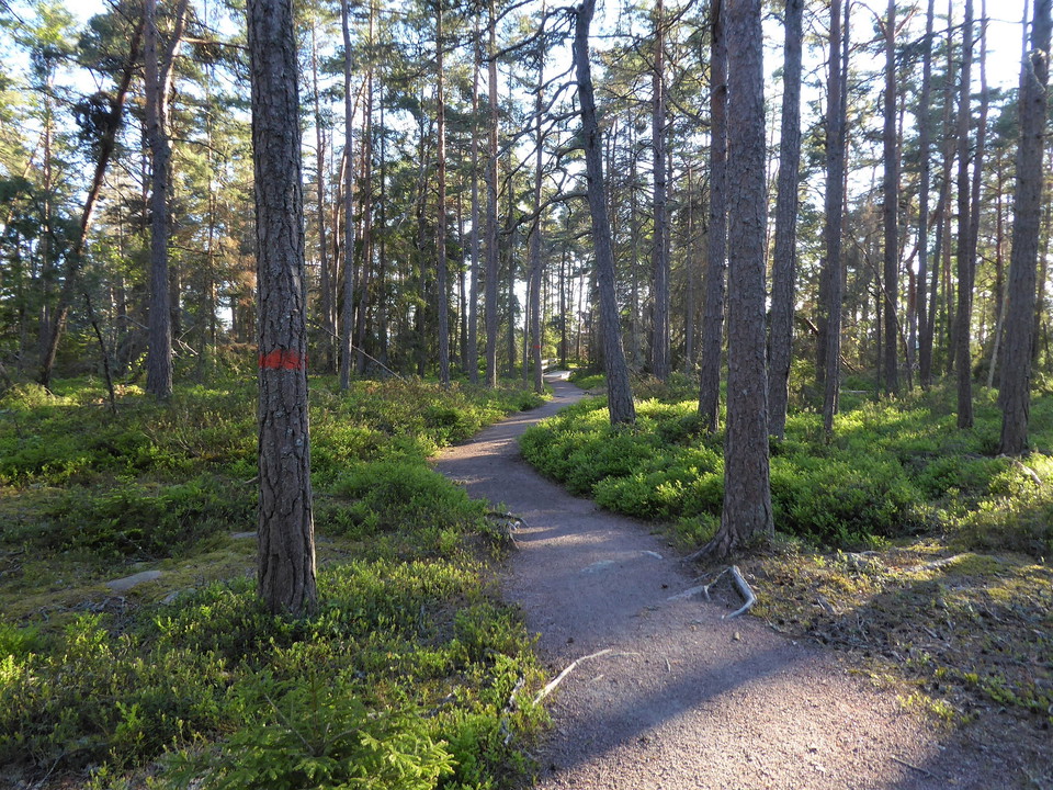 Leden grenar ut sig och leder fram till flera olika rastplatser