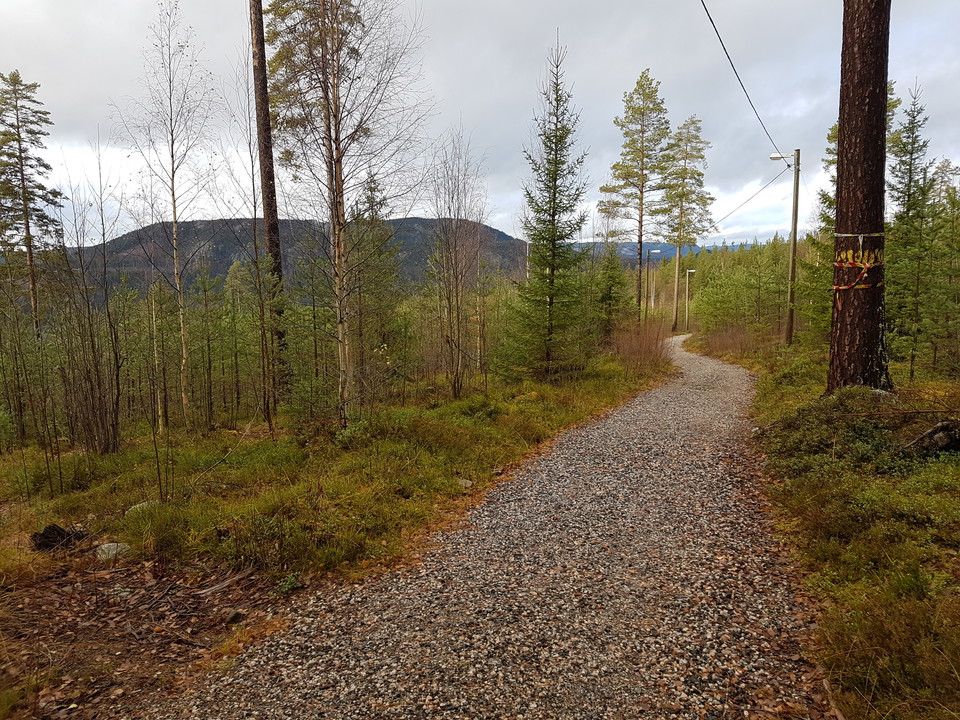 Spåret i barmark