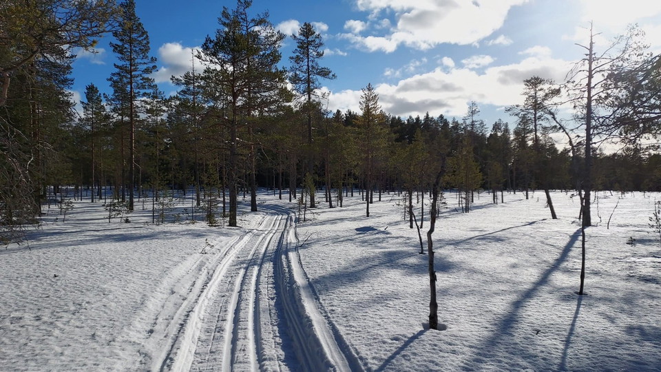 Skidspår på Asarmyrarna