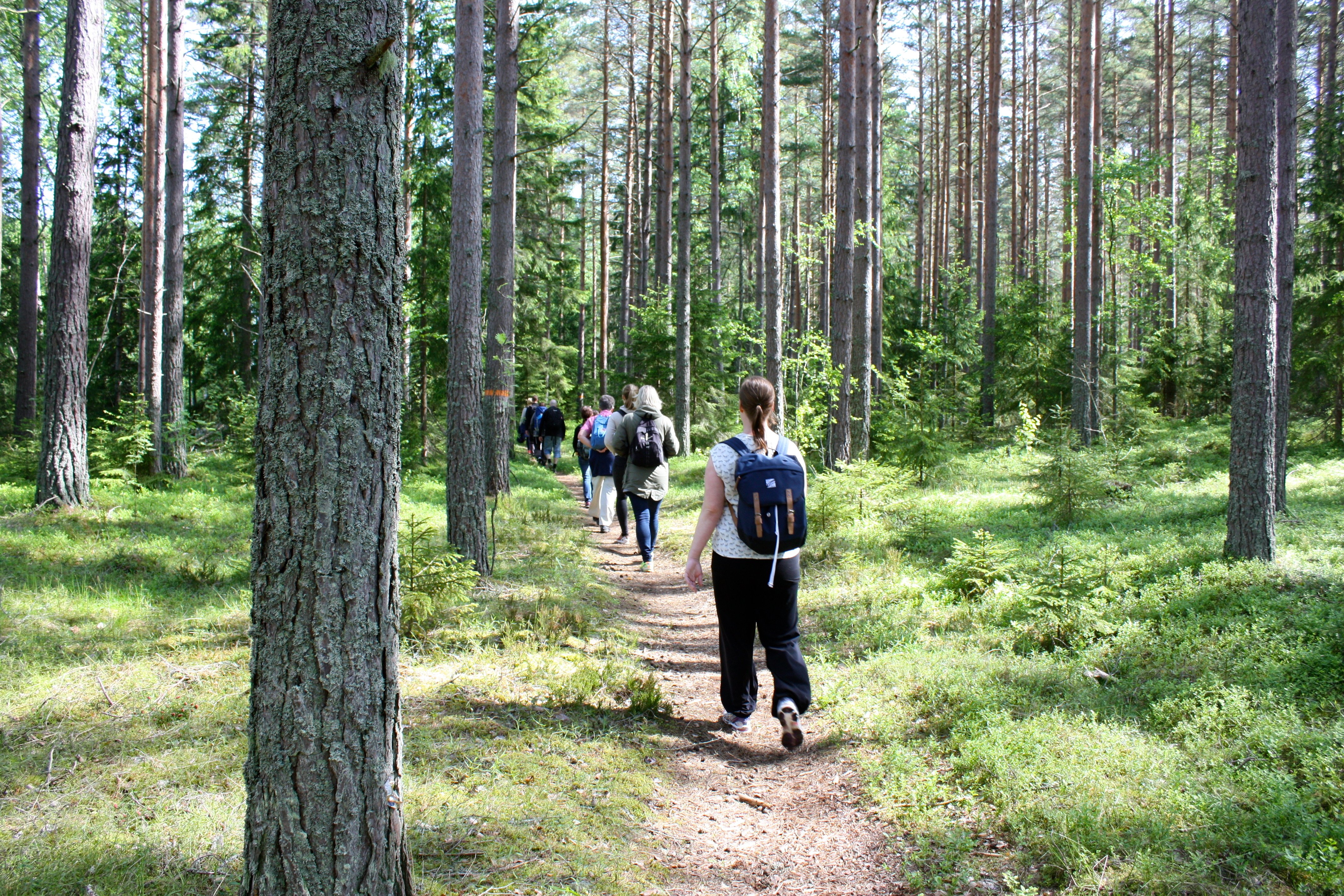 Personer som vandrar längs Upplandsledens etapp 16 vid Gropholmarna.