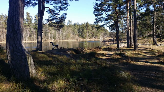 Holmviksskogen och Kvarnsjön