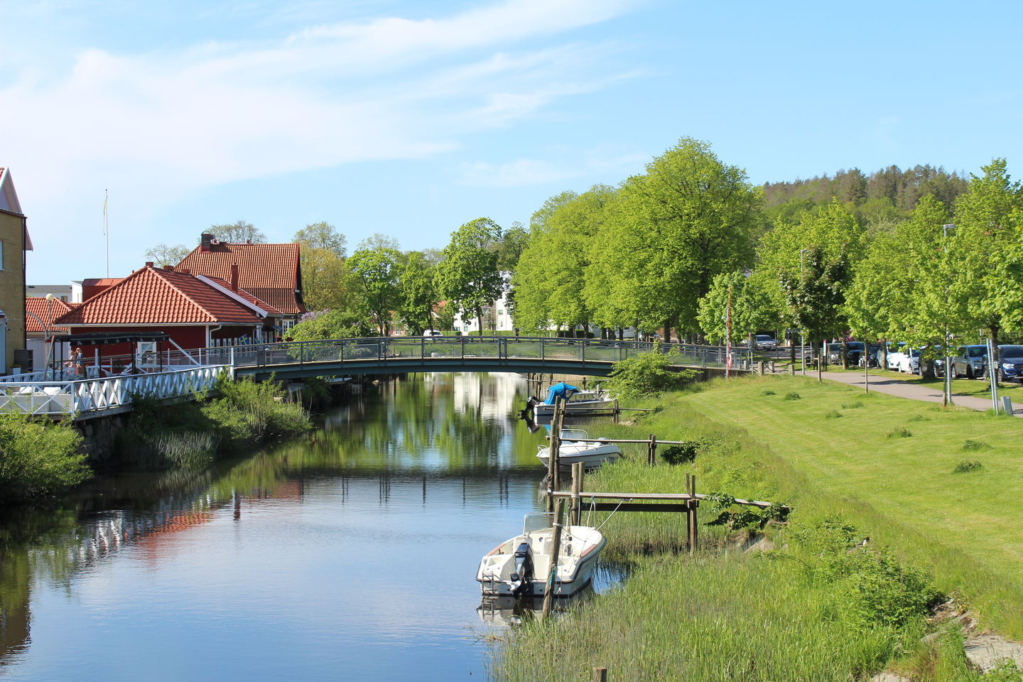 Kungsbackaån