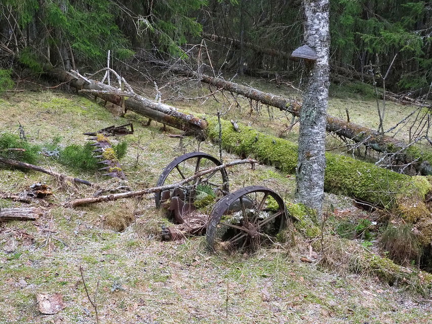 Den gamla slåttermaskinen blev kvar i Brändskog