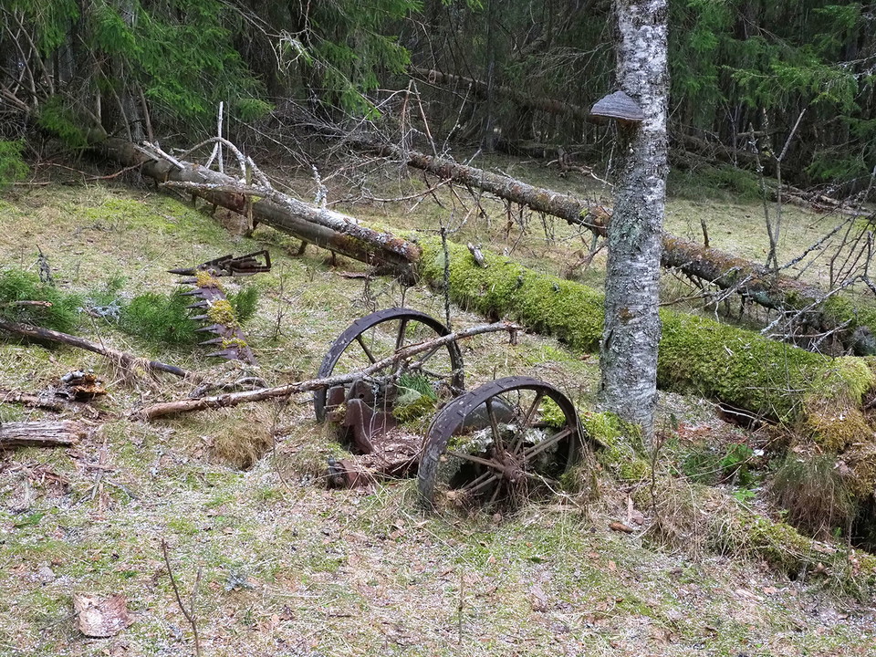 Den gamla slåttermaskinen blev kvar i Brändskog
