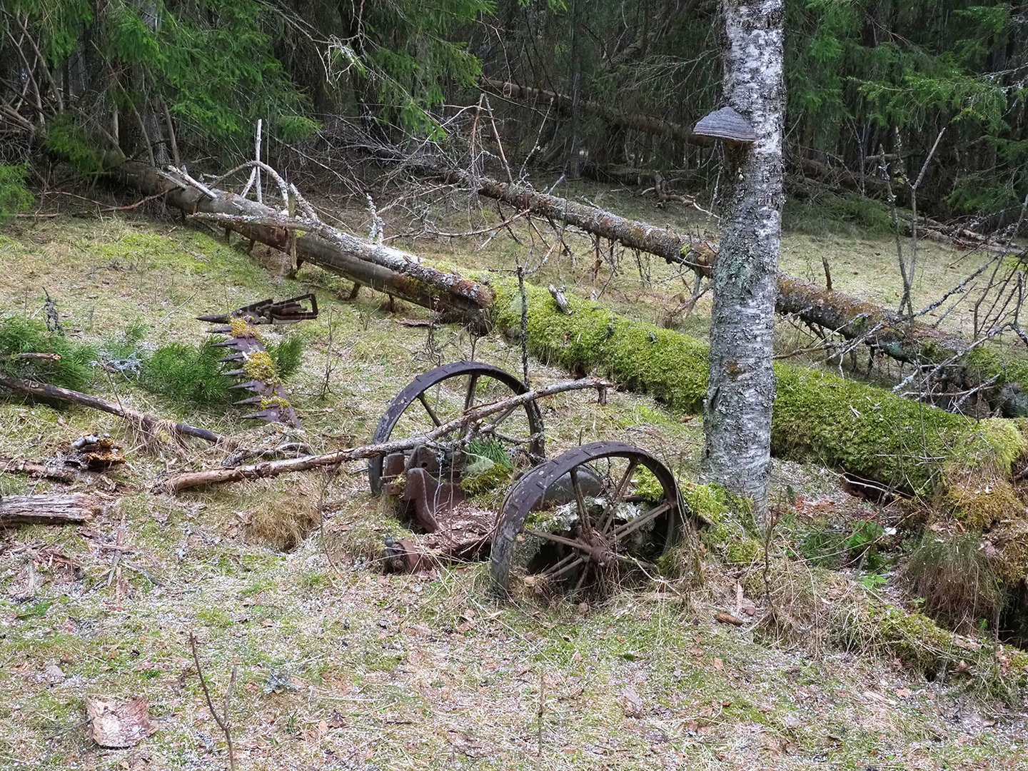 Den gamla slåttermaskinen blev kvar i Brändskog