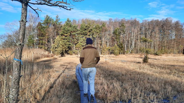 Bärstakärret naturreservat