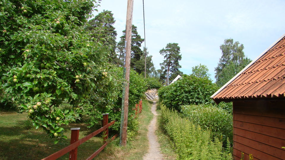 Grönstakolonin. Foto Lidingö stad