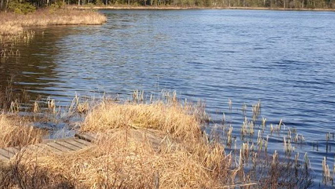 Landfiske Mossasjön