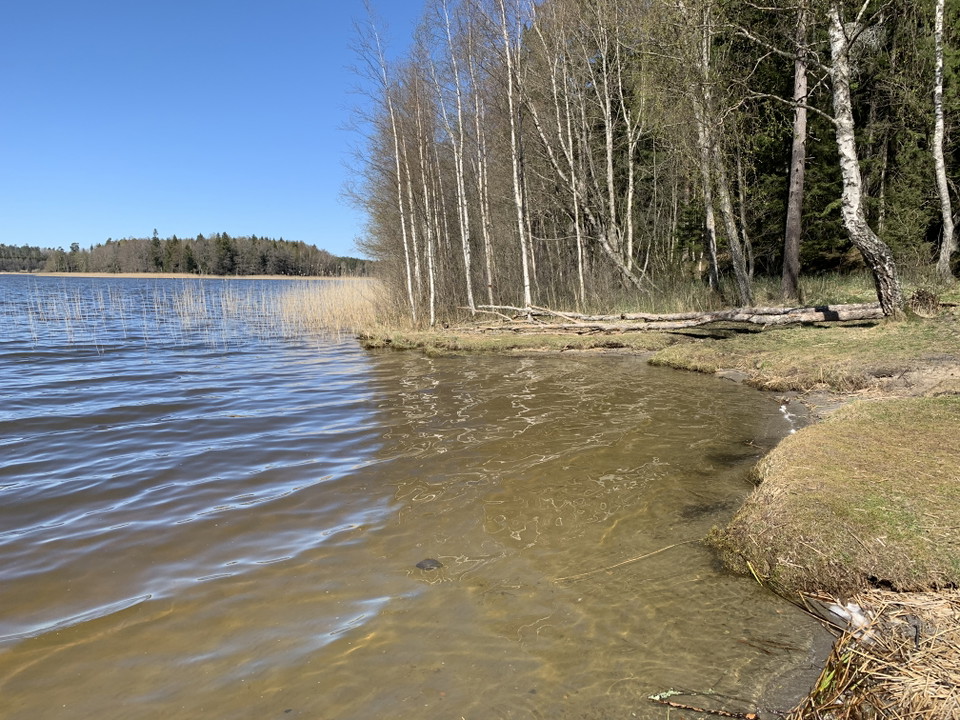 Sörsjöns strand. 