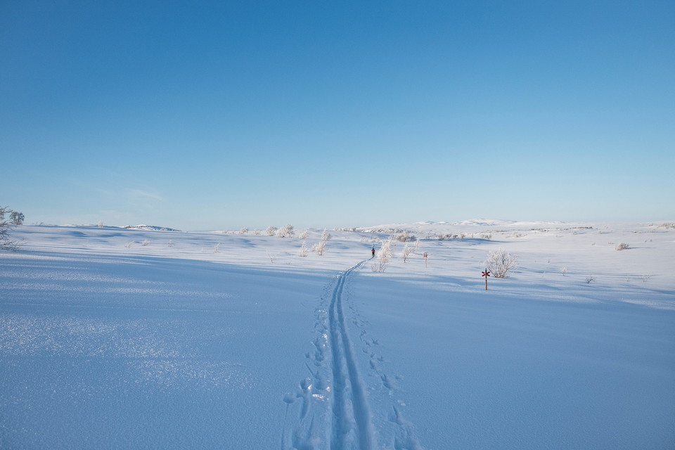 Storlienfjällens vänner