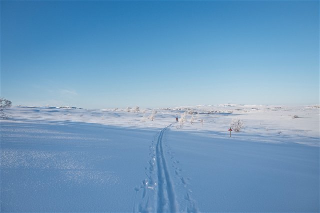 Storliens skidspår och vinterleder söder om järnvägen